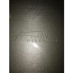   Vonalas papír, ezüst színű és fényű - 21x30 cm, 120 gr - 5 lap