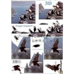 Madarak, Fázisos 3D