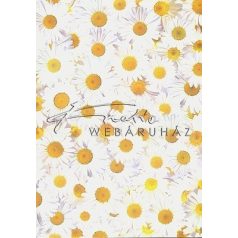 Kartonpapír - Margaréta, Karton