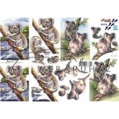 Koala, Fázisos 3D
