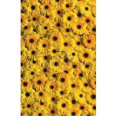 Transzparens papír - Gerbera
