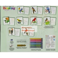 Kreatív hobby - Hobby művész - Grafikai készlet -Színes madarak