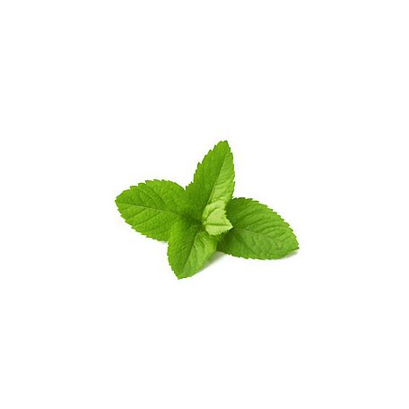 Gyertya illat 10ml – 09 Mint