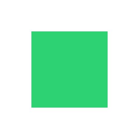 Akril marker Liquitex 2mm – Fluoreszcens zöld