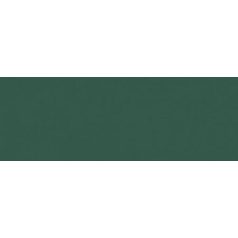 Stabilo Pen 68 rostirón – 53 fenyőzöld