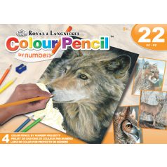   Vadállatos színező számokkal - Színezős ajándékkészlet gyerekeknek, négy színes képpel