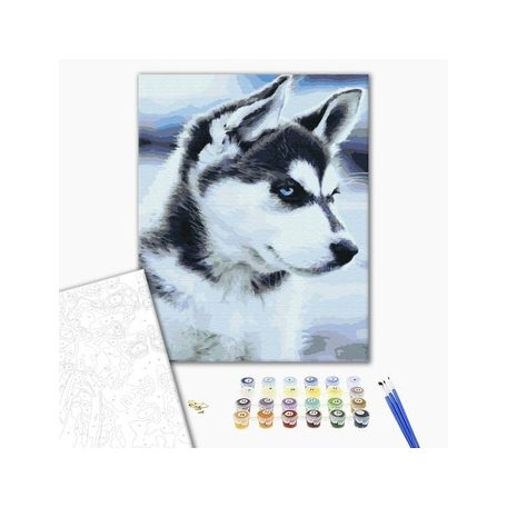 Számozott kifestő készlet vászonra 40x50 cm - Husky kutya kölyök