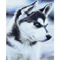 Számozott kifestő készlet vászonra 40x50 cm - Husky kutya kölyök