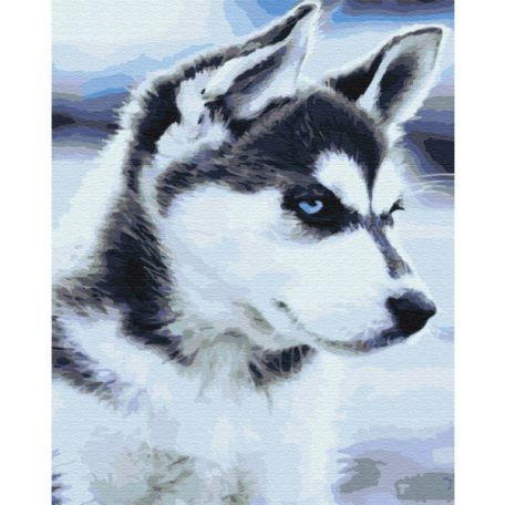 Számozott kifestő készlet vászonra 40x50 cm - Husky kutya kölyök