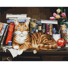 Számozott kifestő készlet vászonra 40x50 cm - Cica a könyvespolcon