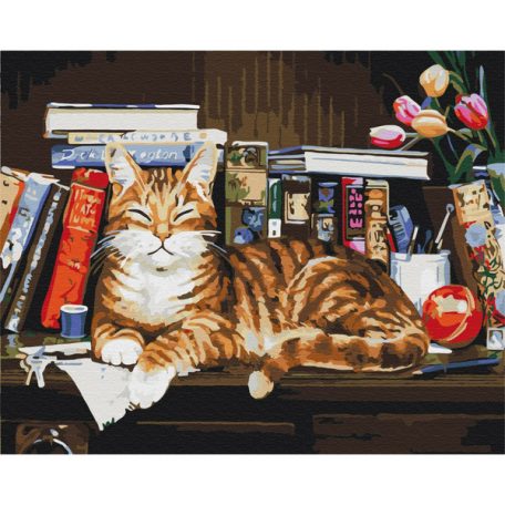 Számozott kifestő készlet vászonra 40x50 cm - Cica a könyvespolcon