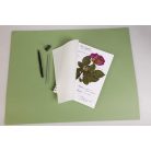 Itatóskönyv, írható, rajzolható, festhető - Növények nyomtatásához, Herbárium - 180 gr/m2 - A4