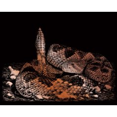   Képkarcoló készlet karctűvel - 25x20 cm - Réz - Csörgőkígyó