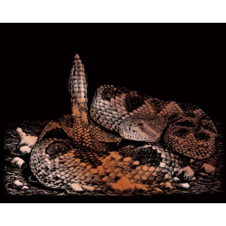 Képkarcoló készlet karctűvel - 25x20 cm - Réz - Csörgőkígyó