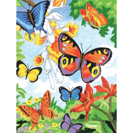 Számozott színező készlet, 20x25cm - Pillangók