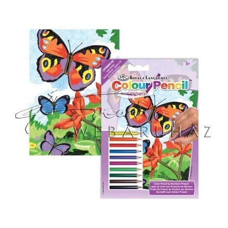 Számozott színező készlet, mini - Pillangók