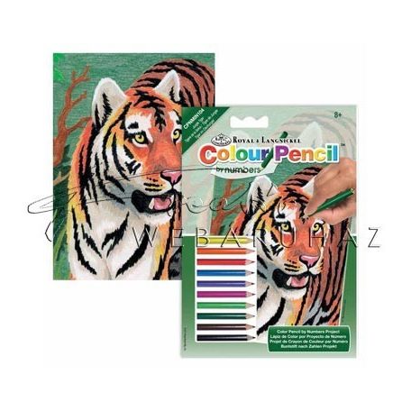 Számozott színező készlet, mini - Tigris