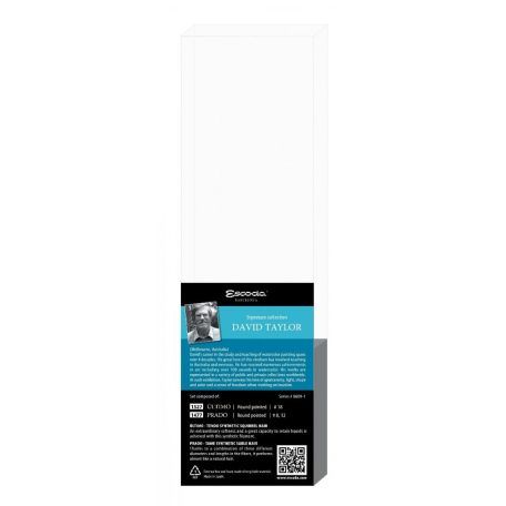 Ecset - Escoda 8609-1 David Taylor Set - szintetikus ecset szett - Rövidnyelű ajándékkészlet