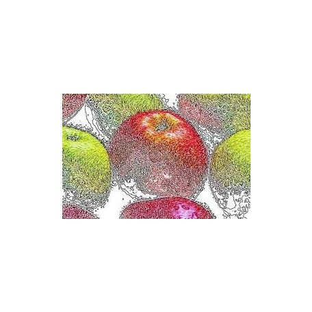 Karcfólia - Fehér, színezhető 9 db-os - 10x15 cm