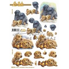   Labrador és retriever kutyusok, előre kivágott Fázisos 3D képek