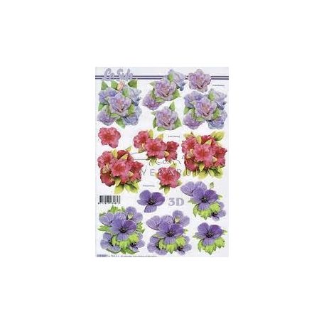 Lila virágok, Fázisos 3D