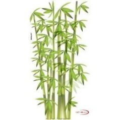 Falmatrica - Bambusz