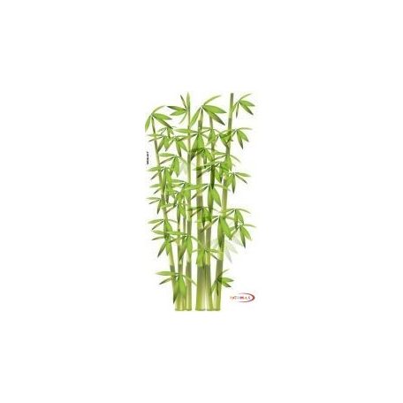 Falmatrica - Bambusz