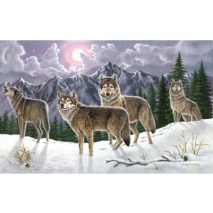   Kifestő készlet számokkal, ecsettel, felnőtteknek - 30x40 cm - Farkasok