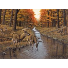 Kifestő készlet számokkal, ecsettel, felnőtteknek - 30x40 cm - Patak - Újra kapható!
