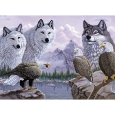   Kifestő készlet számokkal, ecsettel, felnőtteknek - 30x40 cm - Farkasok és Sasok