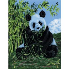 Kreatív hobby - Panda, kifestő festővászonra