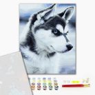 Számozott kifestő készlet vászonra 40x50 cm - Husky kölyök - Részletes