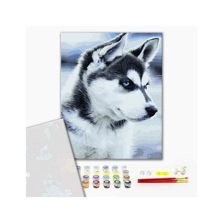 Számozott kifestő készlet vászonra 40x50 cm - Husky kölyök - Részletes