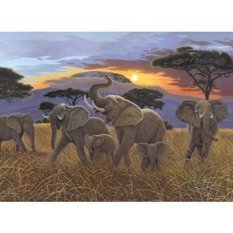Kifestő készlet akrilfestékkel, ecsettel, gyerekeknek 11 éves kortól - 30x40 cm - Kilimanjaro