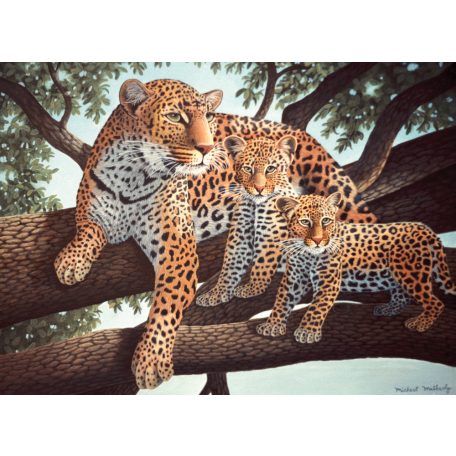 Kreatív hobby - Afrikai leopard