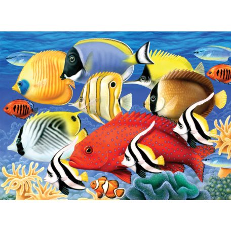 Kreatív hobby - Trópusi halak