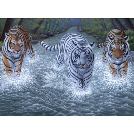 Kreatív hobby - Három tigris