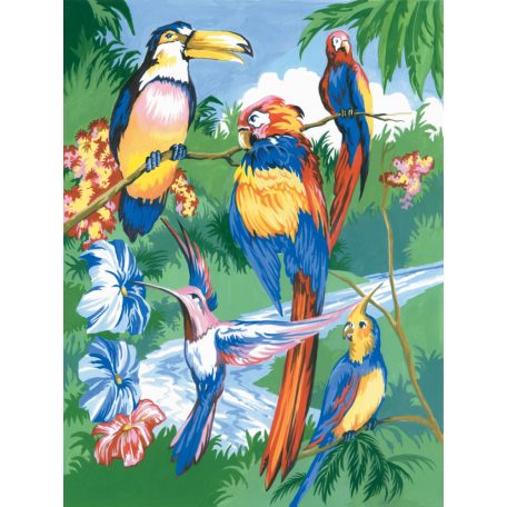 Kreatív hobby - Trópusi madarak