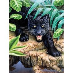 Kreatív kifestő, számos - Fekete leopard