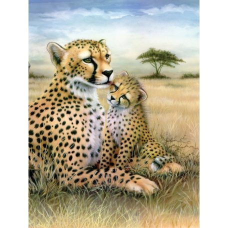 Kreatív hobby - Leopard