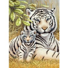 Kifestő készlet gyerekeknek - 20x25 cm - Fehér tigrisek