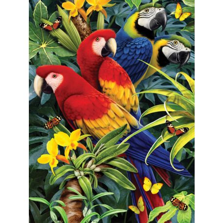 Kreatív hobby kifestő számokkal - Ara papagájok