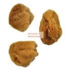 Kreatív hobby - Festőszivacs - Royal Silk Sponge 3 - selyem szivacskészlet 3 db-os készlet - Kreatí