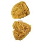 Kreatív hobby - Festő Szivacsok - Royal Jumbo Silk Sponge - nagy selyem szivacskészlet 2 db-os készl