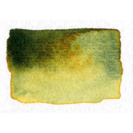 Aquarius akvarell festék - egész szilke - Őszi zöld