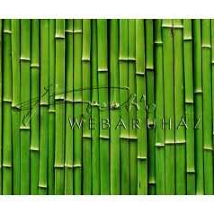 Kartonpapír - Bambusz mintás karton, 1 lap
