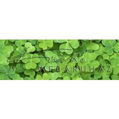 Kartonpapír - Zöld lóhere mintás, Karton, 1 lap