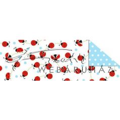 Kartonpapír - Katica bogarak, színes karton, 1 lap