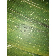 Kartonpapír - Vízcsepp mintás, Karton